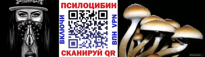 купить  цена  Белозерск  Галлюциногенные грибы Cubensis 